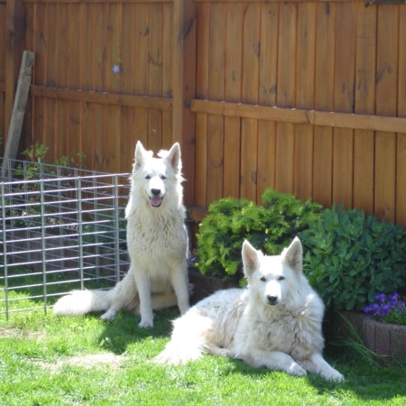 hier fühlen wir uns wohl hier fühlen wir uns wohl